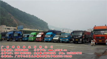 物流配送,行業(yè)內(nèi)全國(guó)領(lǐng)先,佛山禪城廣東東莞物流貨運(yùn)專(zhuān)線(xiàn)
